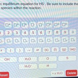 Basic equilibrium equation for hs-