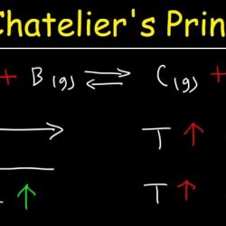 Lab principle le chatelier virtual equilibrium lechatelier studylib