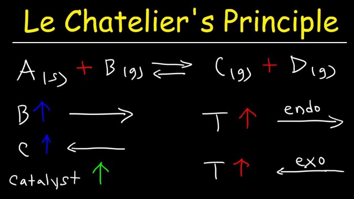 Lab principle le chatelier virtual equilibrium lechatelier studylib