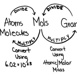 Grams to moles calculations worksheet